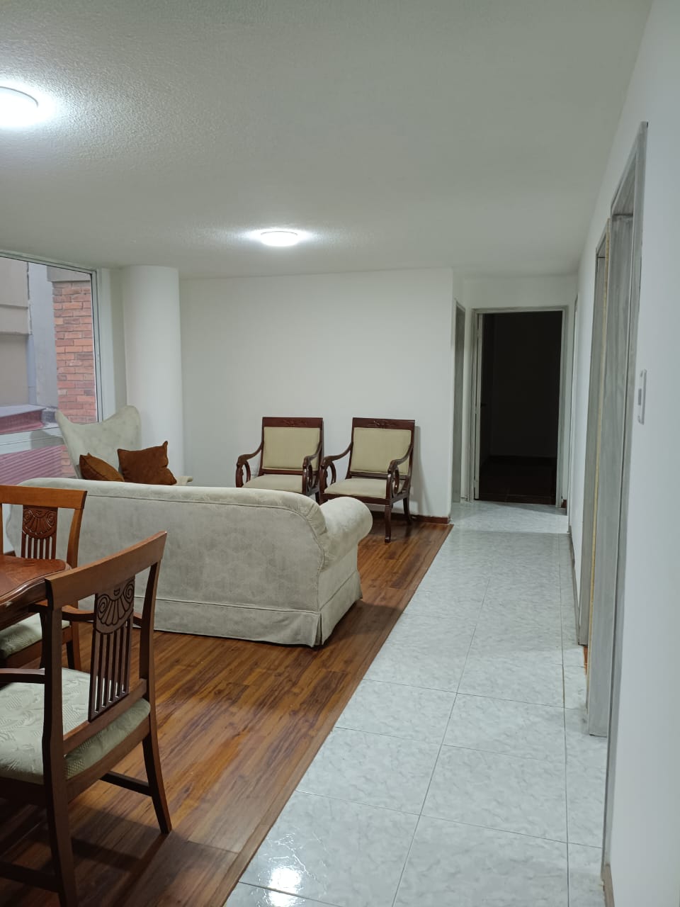 Sala-comedor y zona de circulación